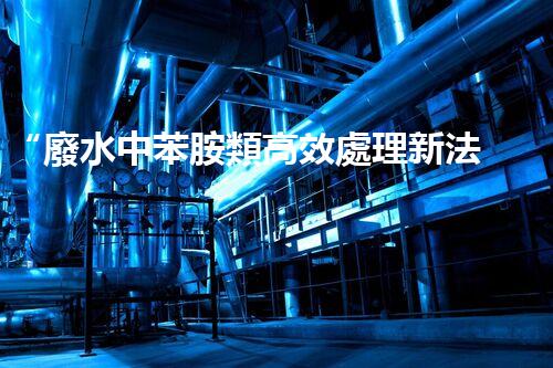 “廢水中苯胺類高效處理新法，環(huán)保先鋒引領綠色以后”